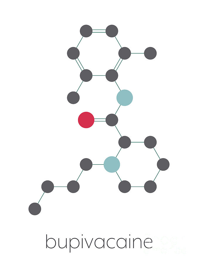 Bupivacaine Epidural Anaesthetic Drug Molecule Photograph by Molekuul ...