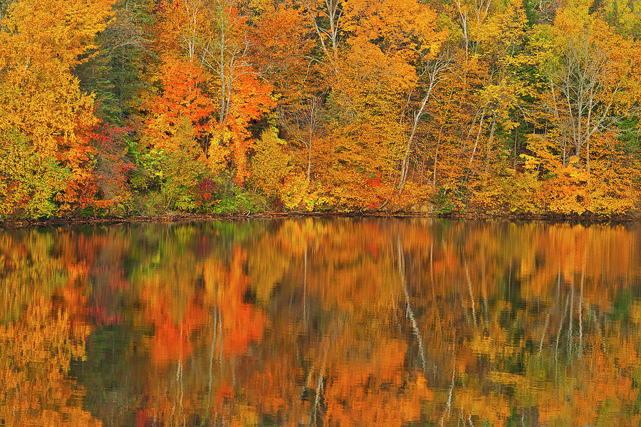 Canada, New Brunswick, Mactaquac Photograph by Jaynes Gallery - Fine ...