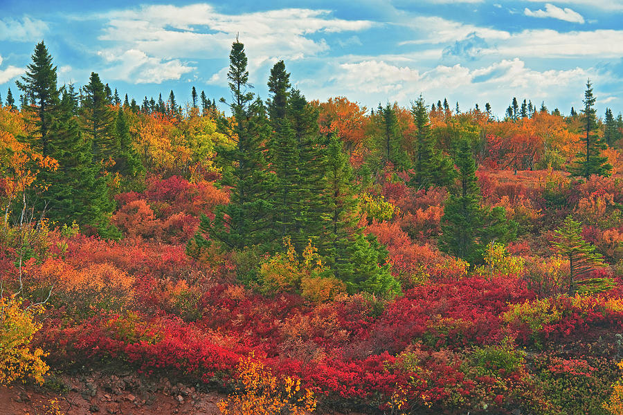 Fall Photograph - Canada, Nova Scotia, Cape Breton Island #3 by Jaynes Gallery