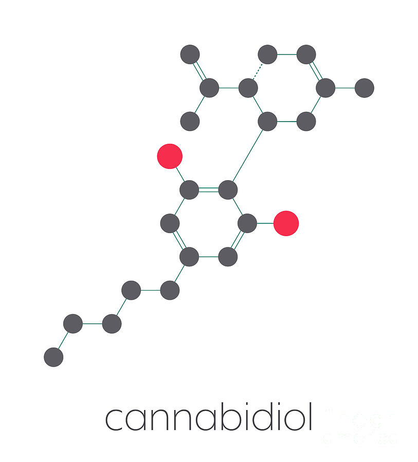 Cannabidiol Cannabis Molecule Photograph By Molekuul/science Photo ...