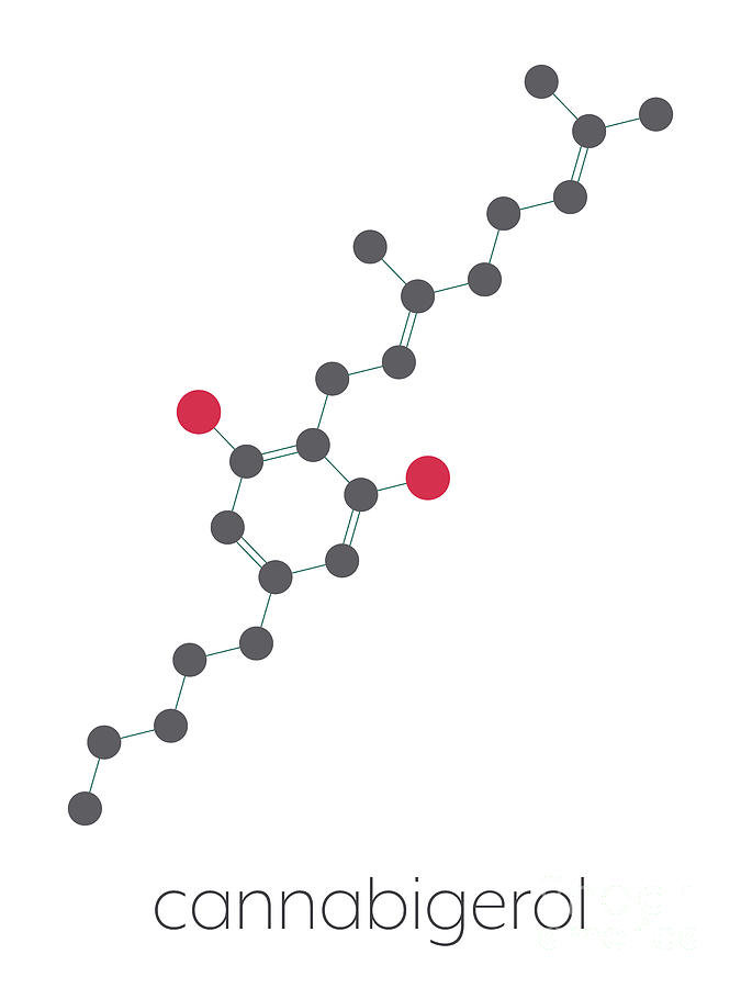 Cannabigerol Cannabinoid Molecule Photograph By Molekuul/science Photo ...