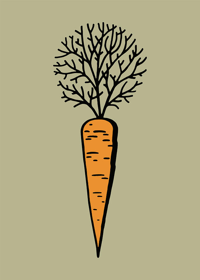 Carrot Drawing - Carrot #3 by CSA Images
