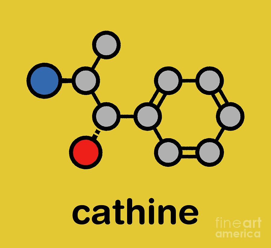 Cathine Khat Stimulant Molecule #3 Photograph by Molekuul/science Photo Library