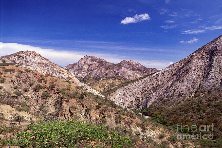 Cerro Saroche #5 Photograph by Juan Silva