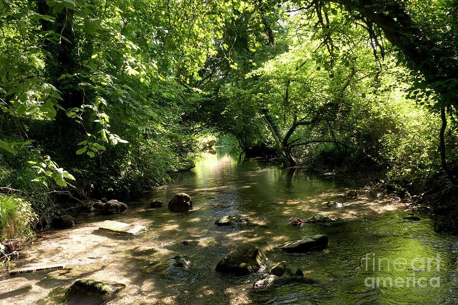 Chalk Stream Photograph by Sheila Terry/science Photo Library | Fine ...