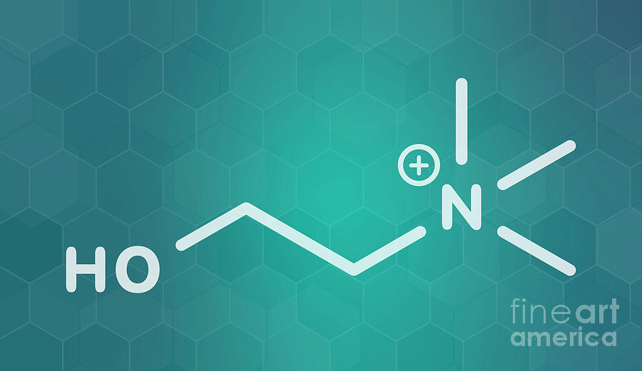Choline Essential Nutrient Molecule Photograph by Molekuul/science