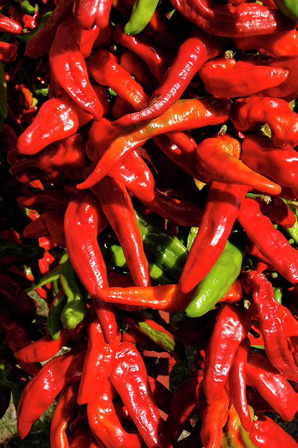 Close-up Of Different Types Of Red Peppers Photograph by Jalag / Alan ...