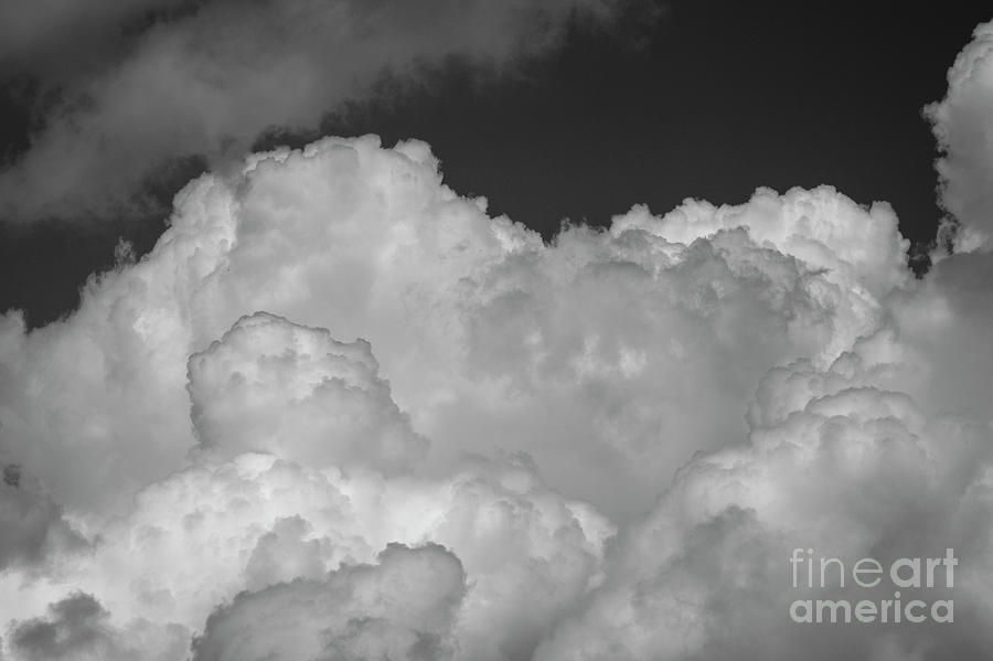 Cloud by FineArtRoyal Joshua Mimbs Cloud by FineArtRoyal Joshua Mimbs