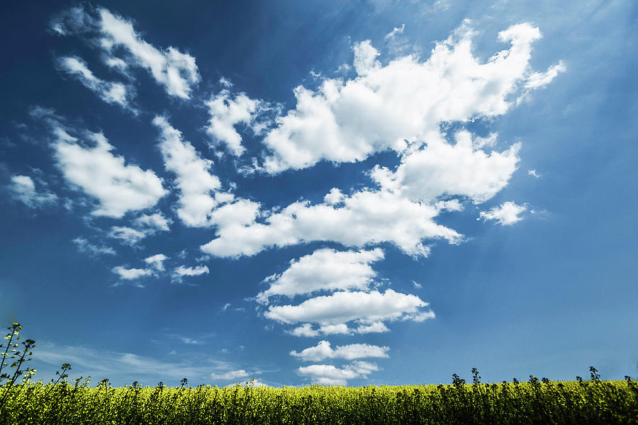 Clouds Over Grassy Rural Landscape #3 Photograph by Manuel Sulzer