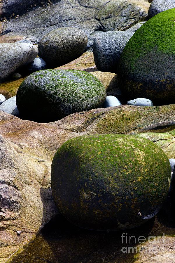 Pebbles Photograph - Coastal Rocks #3 by Dr Keith Wheeler/science Photo Library