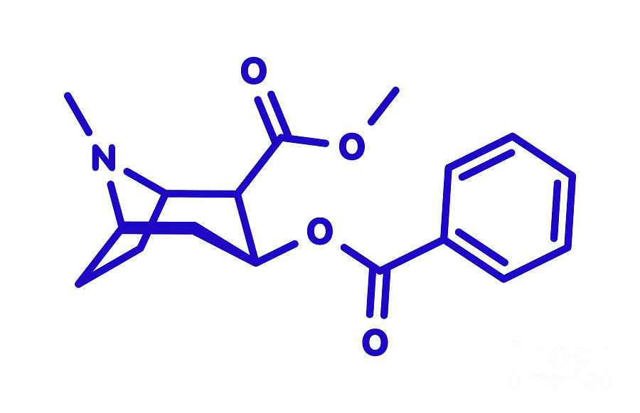 Cocaine Photograph - Cocaine Stimulant Drug Molecule #3 by Molekuul/science Photo Library