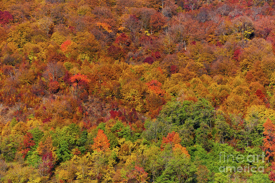 Colorful autumnal landscape #3 Photograph by Ragnar Lothbrok