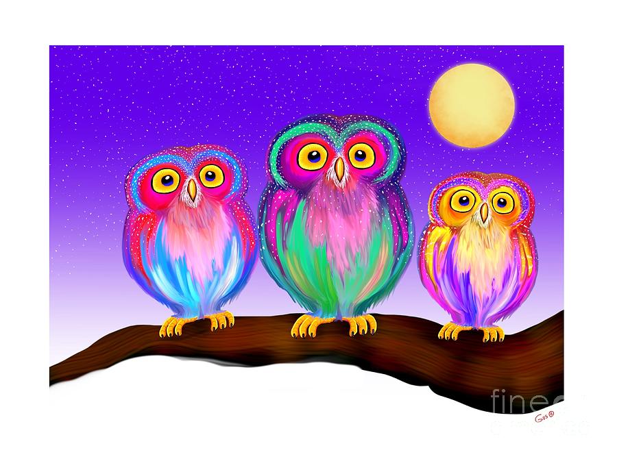 3 Colorful Little Owls Digital Art