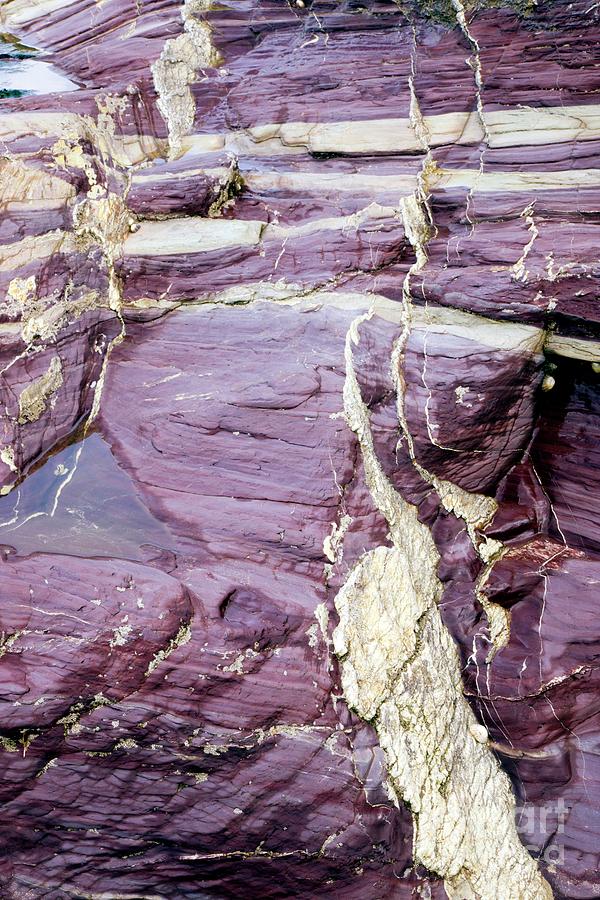 Coloured Coastal Rock #3 Photograph by Dr Keith Wheeler/science Photo Library