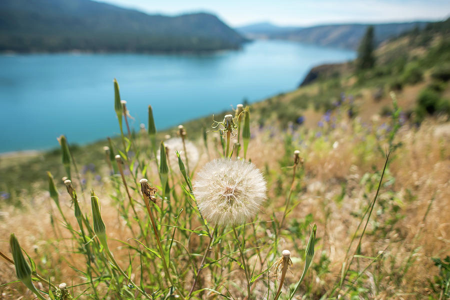 Columbia River Scenes On A Beautiful Sunny Day #3 Photograph by Alex Grichenko