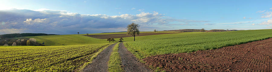 Country Lane And Clouded Sky #3 Photograph by Hans-peter Merten