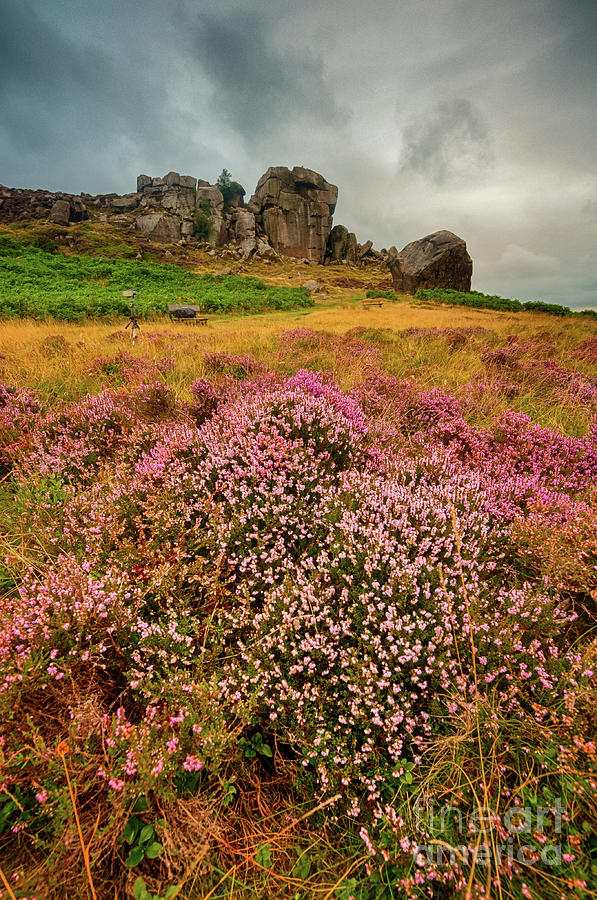 Cow And Calf Rocks In Ilkley Photograph