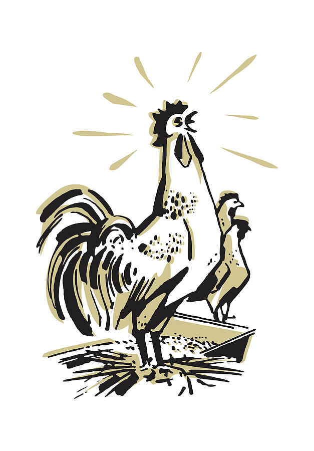 Chicken Drawing - Crowing Rooster #3 by CSA Images