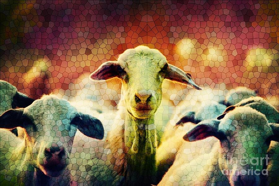 3 Curious Goats Mosaic Digital Art