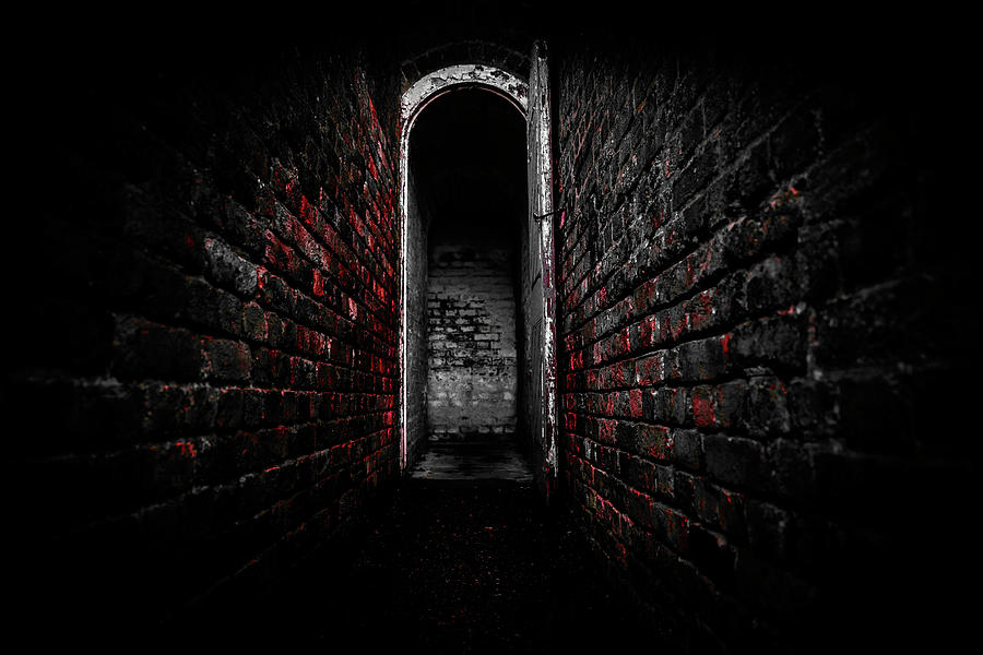Brick Photograph - Dead End #3 by Svetlana Sewell