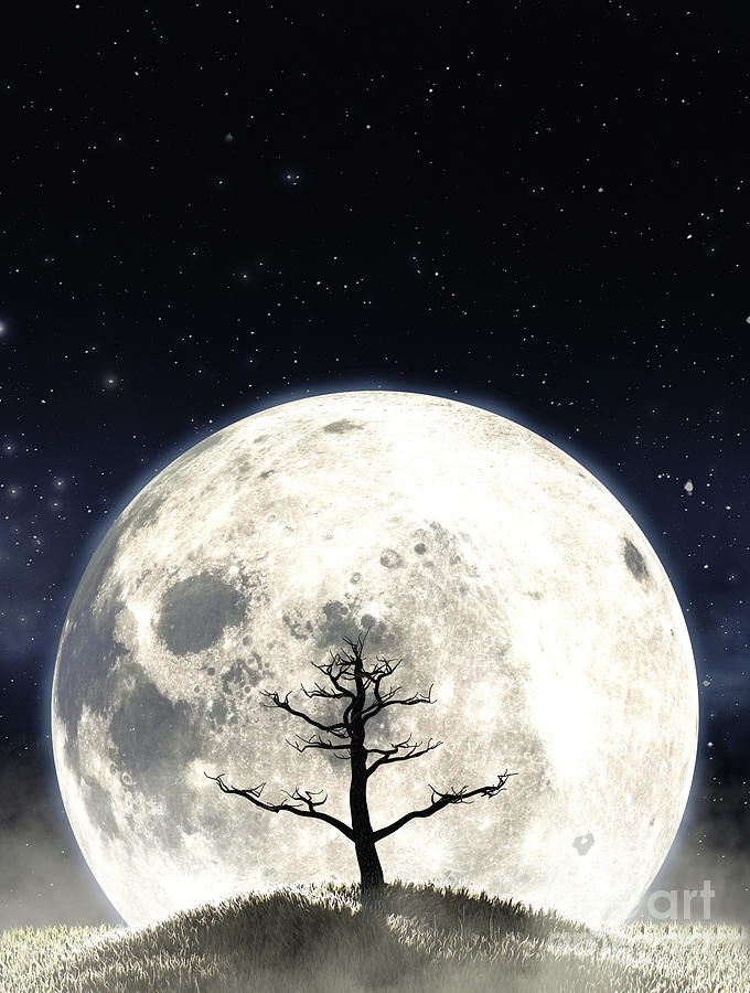 Dead Tree And Moon Silhouette Digital Art by Allan Swart - Fine Art America