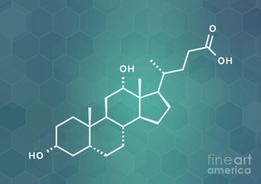 Deoxycholic Acid Bile Acid Molecule Photograph by Molekuul/science ...