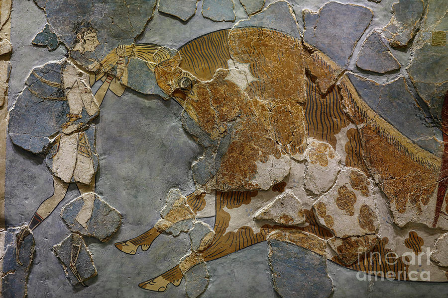 Detail Of The Bull Leaping Fresco. Found In Knossos, 1600-1400 Bc ...