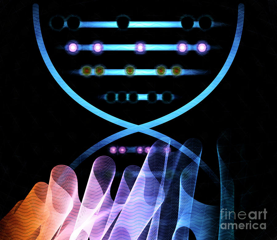 Dna Computing #3 Photograph by Giroscience/science Photo Library