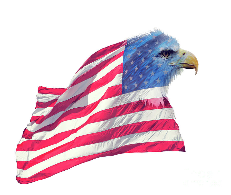 Double exposure of bald eagle on american flag. Photograph by Svetlana ...