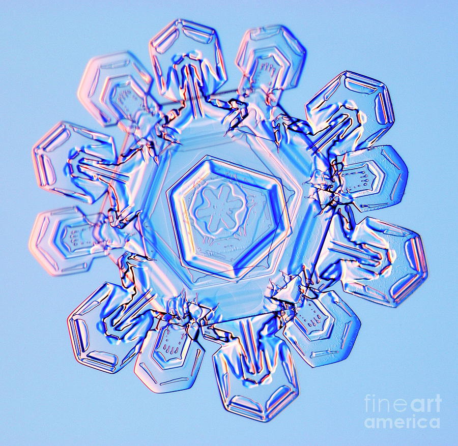 Double Snowflake #3 Photograph by Kenneth Libbrecht/science Photo Library