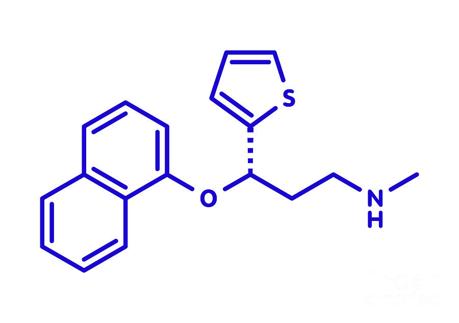 Duloxetine Photograph - Duloxetine Antidepressant Drug #3 by Molekuul/science Photo Library