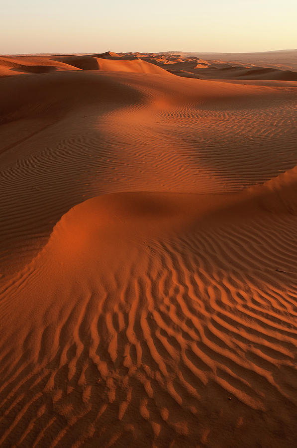 Dune Landscape #3 Photograph by John Elk