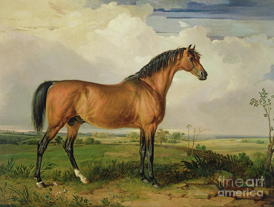 Eagle, A Celebrated Stallion Painting by James Ward - Fine Art America