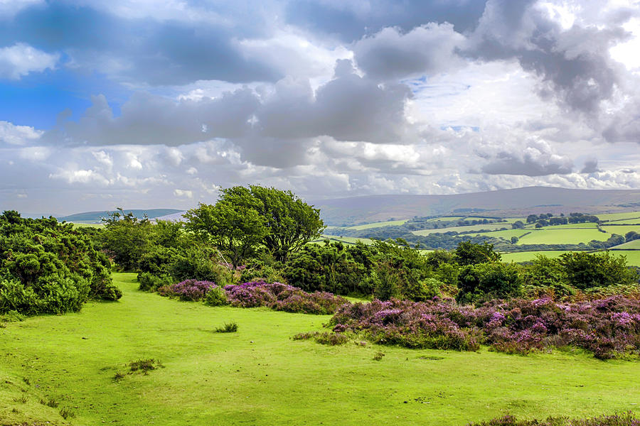 Exmoor by Chris Smith Exmoor by Chris Smith