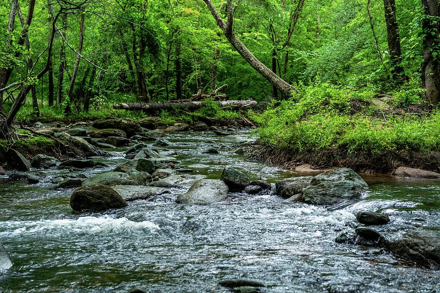 Waterfall Photograph - Fabulous Broad River by Ric Schafer Waterfall Photograph - Fabulous Broad River by Ric Schafer