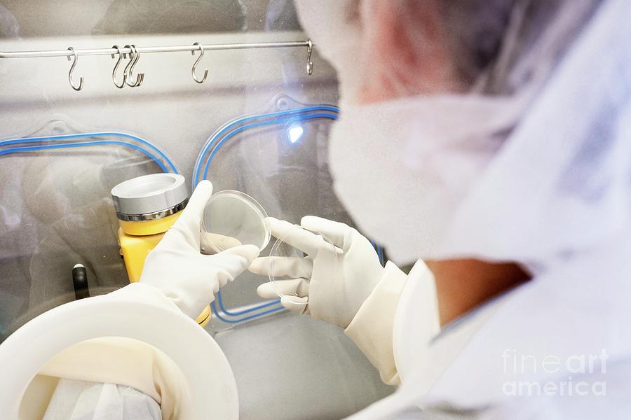 Equipment Photograph - Faecal Microbiota Transplant Research #3 by Lewis Houghton/science Photo Library