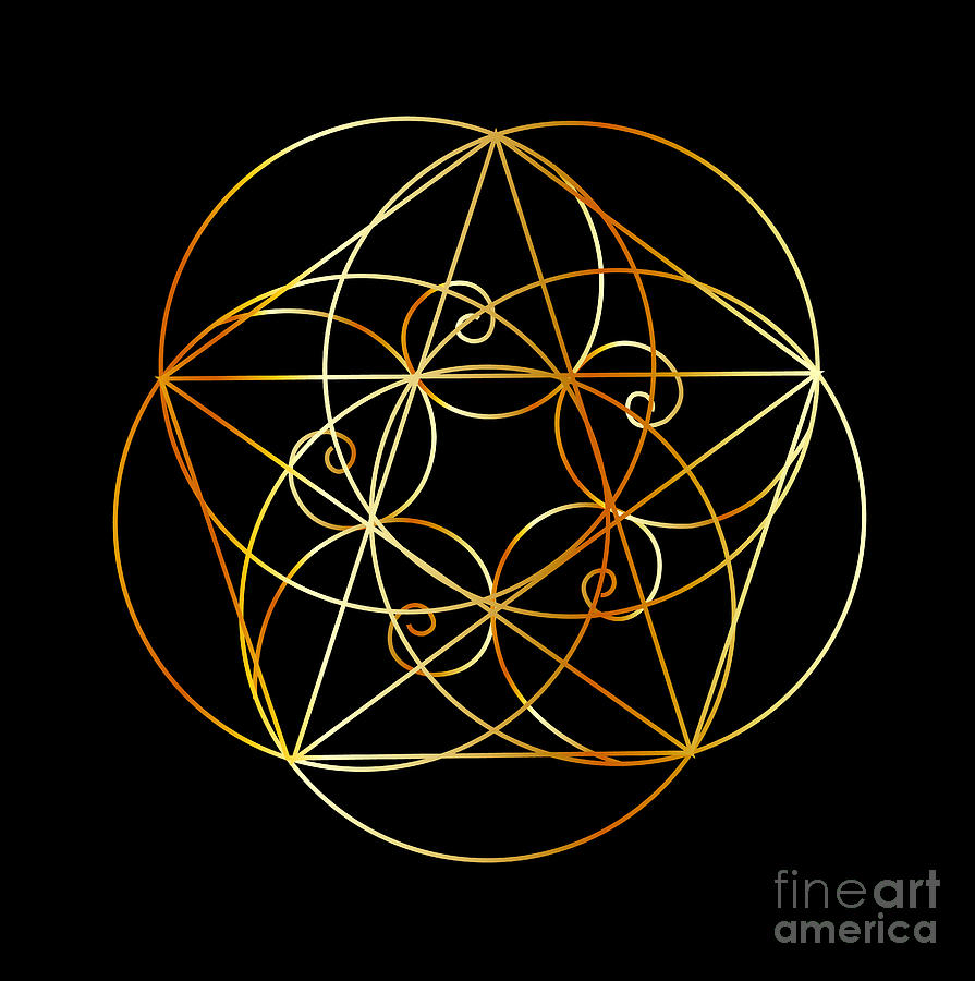 fibonacci sequence spiral art
