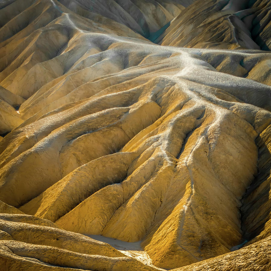 Fine Desert Landscape In Death Valley National Park California #3 Photograph by Alex Grichenko