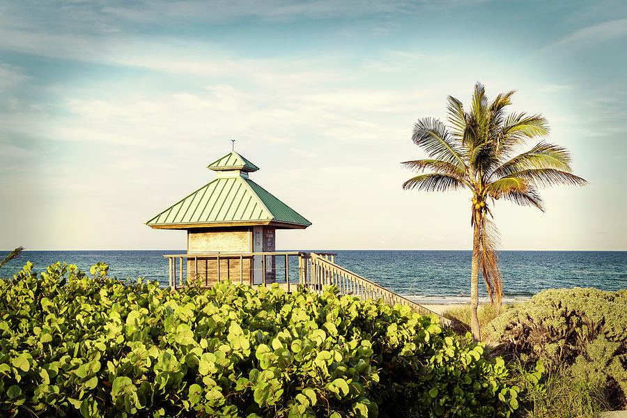 Florida, Boca Raton, Lifeguard Tower & Palm Tree On The Beach #3 Digital Art by Laura Diez