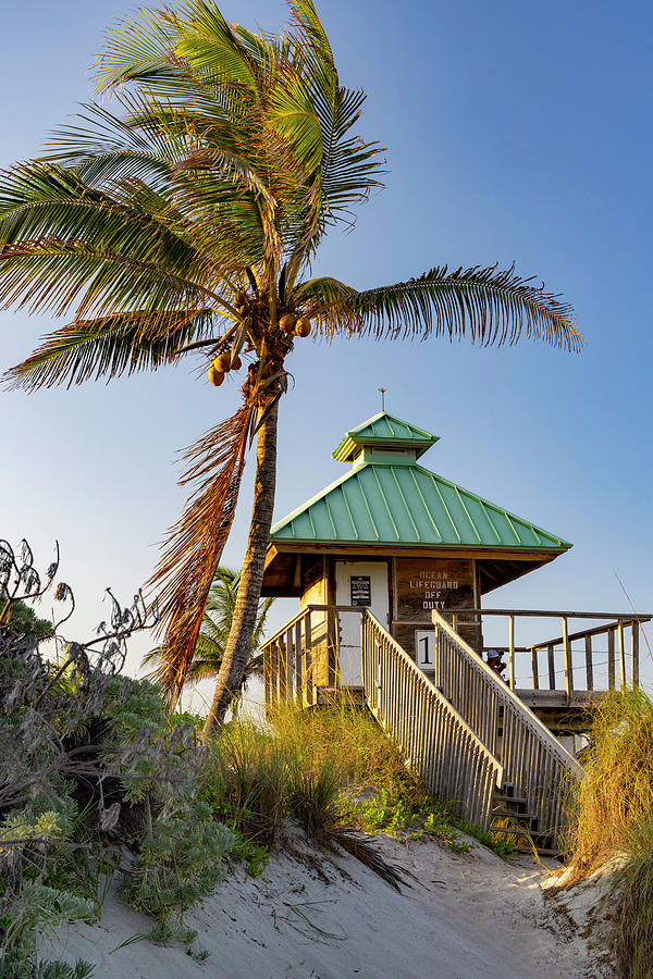 Florida, Boca Raton, Lifeguard Tower With Palm Tree At The Beach #3 Digital Art by Laura Diez