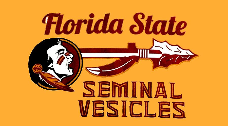 Florida State Seminal vesicles Digital Art by Deliah Jenner