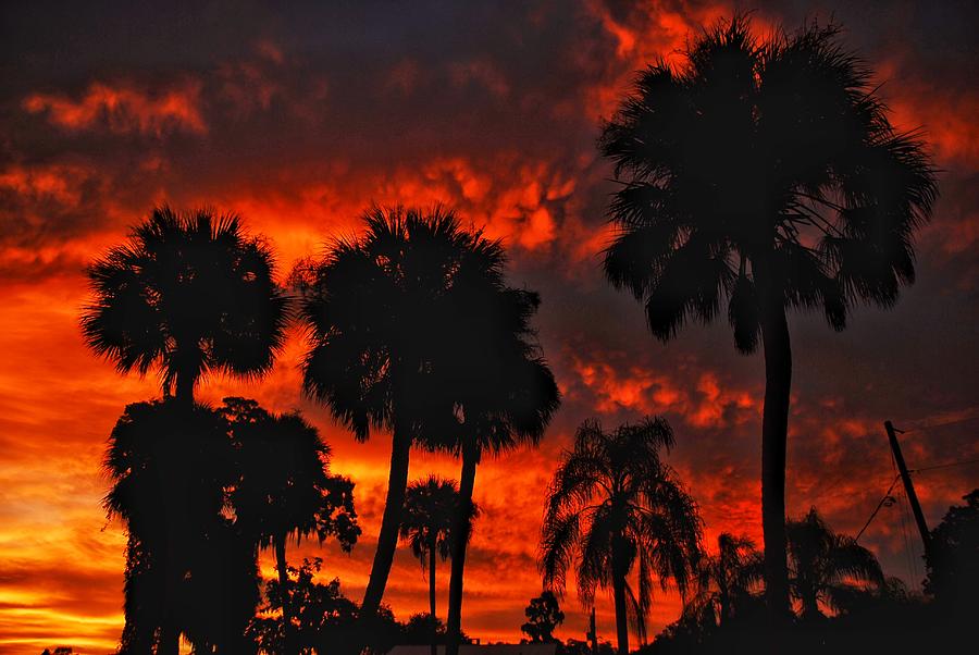 Florida Sunrise Photograph
