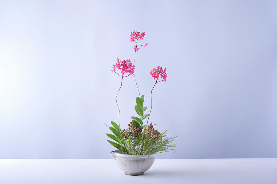 Flower Arrangement by Ryouchin