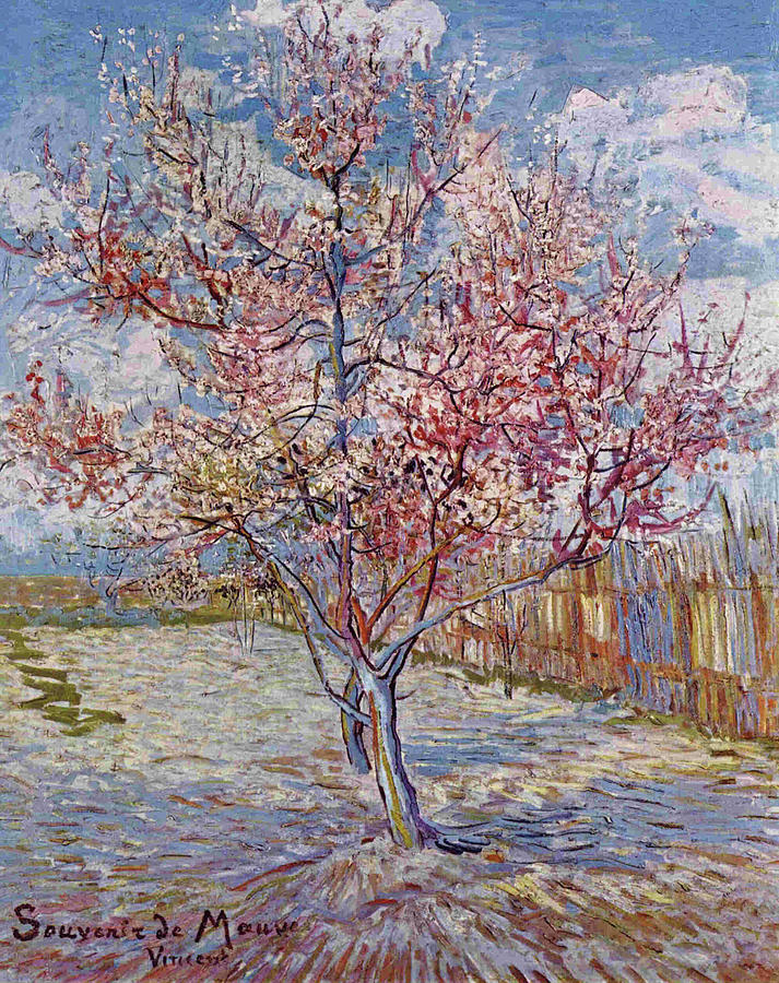 Vincent Van Gogh Painting - Flowering Peach Trees #1 by Vincent van Gogh