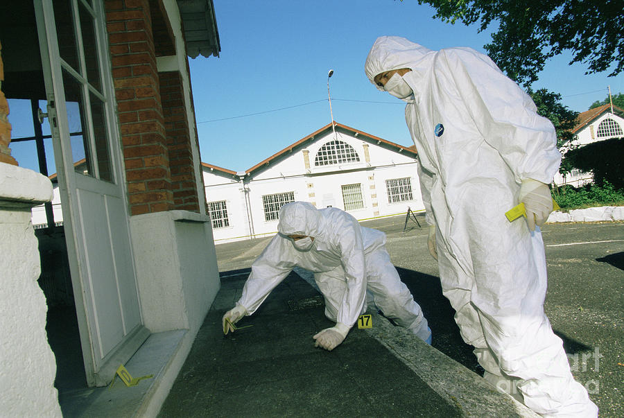 Forensics Officers At A Crime Scene Photograph By Philippe Psaila