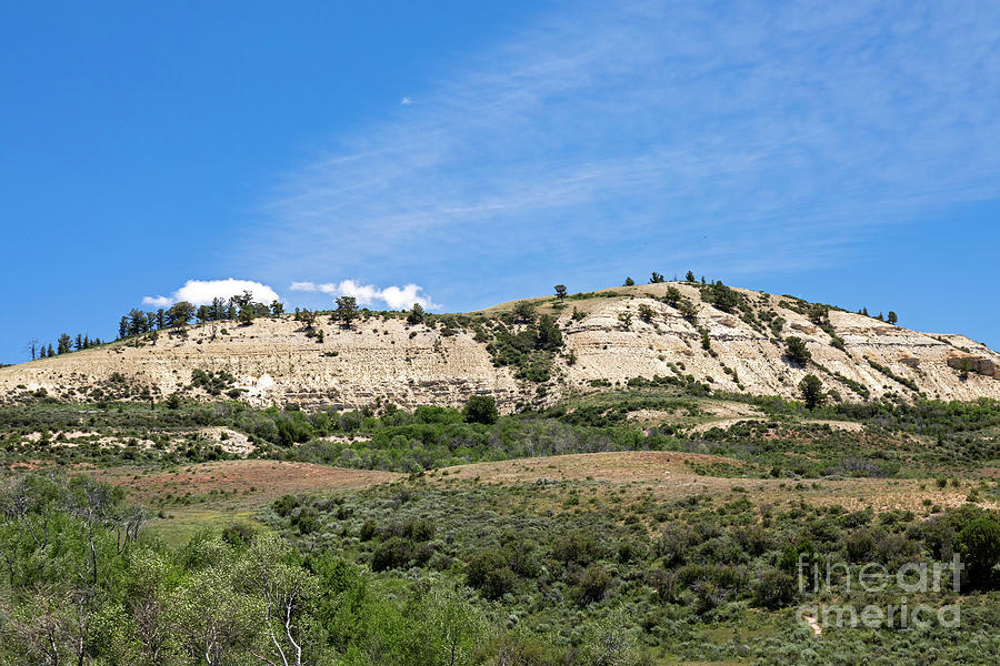 Fossil Butte National Monument #3 Photograph by Science Photo Library Fossil Butte National Monument #3 Photograph by Science Photo Library