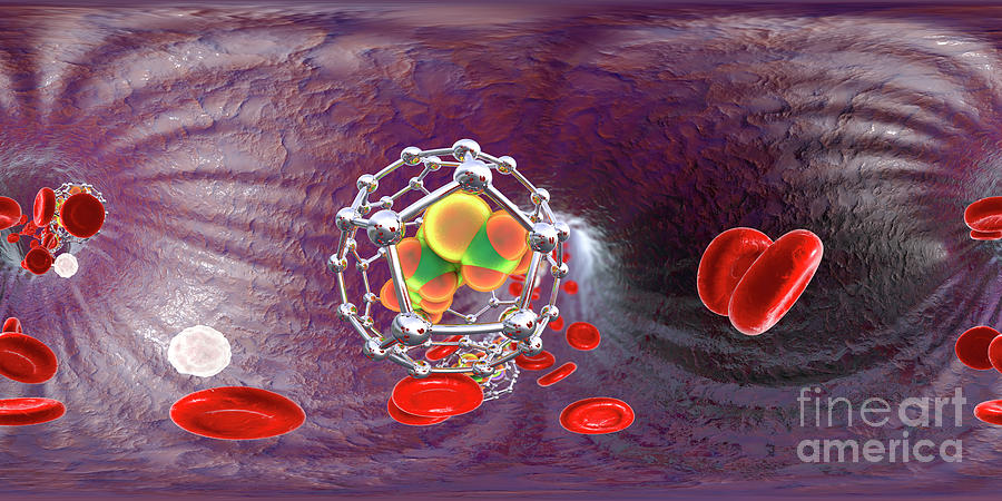 Fullerene Nanoparticles In Blood #3 Photograph by Kateryna Kon/science Photo Library