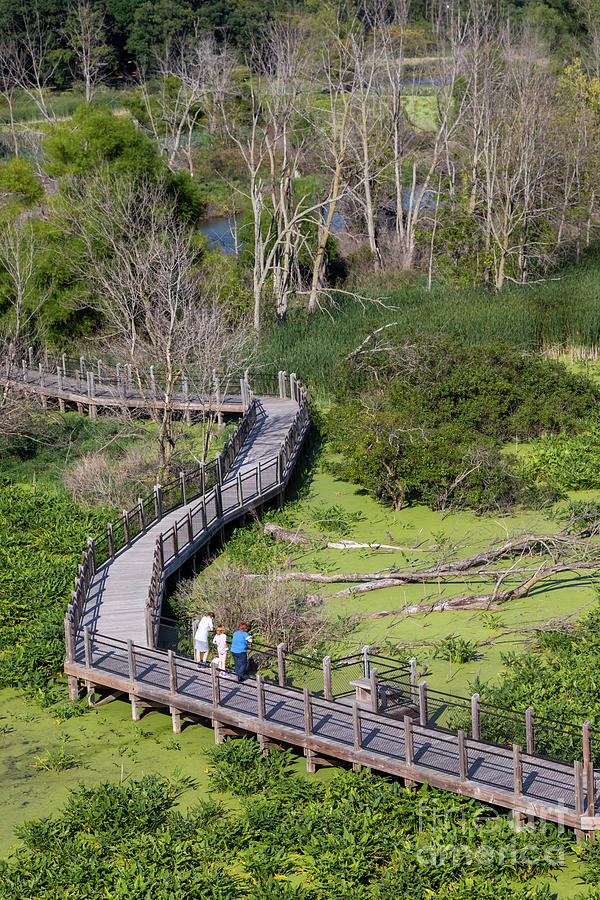 Galien River Marsh Photograph by Jim West/science Photo Library Pixels