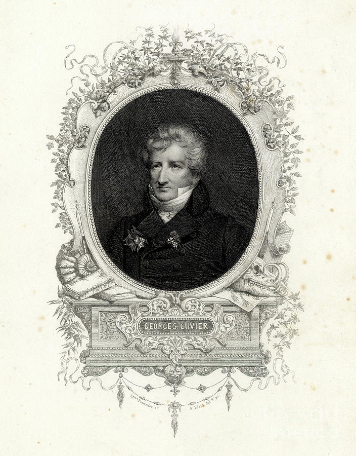 Georges Cuvier #3 Photograph by Natural History Museum, London/science Photo Library