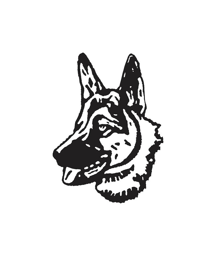 Black And White Drawing - German Shepherd #3 by CSA Images